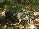 Un menhir degli antichi liguri