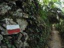 La Via Grande che sale al Santuario di Montenero (foto Mary Addari)